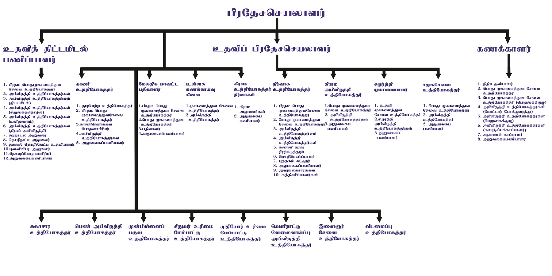 organization chart 3
